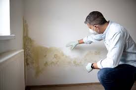 Best Basement Mold Removal  in North Spearfish, SD